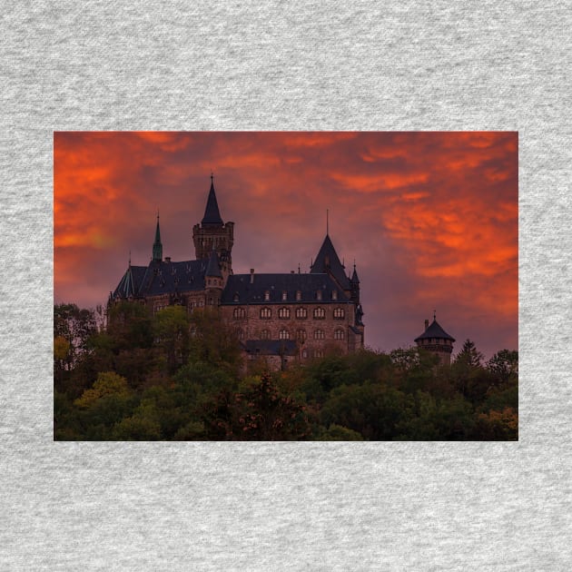 Castle, Wernigerode, Harz, Saxony-Anhalt, Germany, afterglow by Kruegerfoto